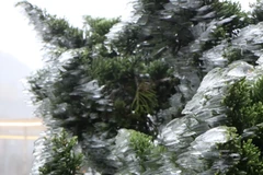 Băng giá xuất hiện trên đỉnh Ô Quý Hồ 