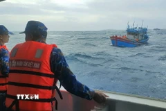 Ảnh minh họa. (Nguồn: TTXVN)