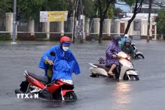 Ảnh minh họa. (Nguồn: TTXVN)