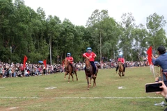 Đông đảo du khách dự hội đua ngựa Gò Thì Thùng, chứng kiến những lượt đua hấp dẫn. (Ảnh: Xuân Triệu/TTXVN)