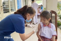 Học sinh Trường tiểu học Tam Hòa (thành phố Biên Hòa, Đồng Nai) được nhân viên y tế tới tận trường học tiêm vaccine sởi. (Ảnh: Lê Xuân/TTXVN)