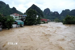 Nước sông Thương chảy qua địa bàn huyện Chi Lăng, tỉnh Lạng Sơn dâng cao, đục ngầu, chảy rất mạnh. (Ảnh: Văn Đạt/TTXVN)