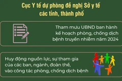 Tăng cường phòng, chống dịch bệnh dịp Tết Nguyên đán và mùa lễ hội 2024