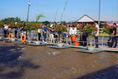 Du khách tham quan và trải nghiệm cho cá ăn trên sông Tiền (thuộc phường An Thạnh, thành phố Hồng Ngự). (Ảnh: Nhựt An/TTXVN)