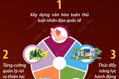 Năm nghị quyết định hình tương lai hoạt động nhân đạo toàn cầu