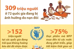 Số liệu về an ninh lương thực toàn cầu 