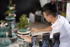 Em Lê Hoàng Tấn (19 tuổi, xã Hòa Nghĩa, huyện Chợ Lách) bán hàng trực tuyến. (Ảnh: Huỳnh Phúc Hậu/TTXVN)