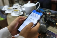 Điều tra viên ghi đầy đủ các câu trả lời của từng hộ vào phiếu điện tử được thiết kế trên thiết bị di động (CAPI). (Ảnh: Tuấn Anh/TTXVN)