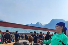 Khám phá nét độc đáo của Chợ bò Mèo Vạc ở Hà Giang