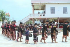 Các thành viên Câu lạc bộ Cồng chiêng buôn Ama Djơng, phường Đoàn Kết, thị xã Ayun Pa (Gia Lai) làm lễ cúng chiêng mới. (Ảnh: Hồng Điệp/TTXVN)