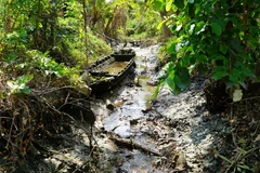 Kênh thủy lợi Vành Đai có những đoạn nước cạn trơ đáy. (Ảnh: Nhựt An/TTXVN) 