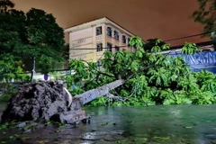 Cây đổ trên phố Dương Văn Bé., Hà Nội do bão số 3 . (Ảnh: Thanh Tùng/TTXVN)