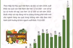 Dự báo năm 2024, xuất khẩu rau quả đạt kỷ lục hơn 7,2 tỷ USD 