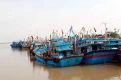 Ảnh minh họa. (Ảnh: Nguyễn Lành/TTXVN)