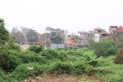 Ảnh minh họa. (Nguồn: TTXVN)