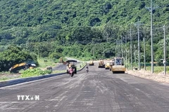 Ảnh minh họa. (Nguồn: TTXVN)