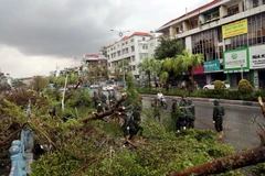 Các chiến sỹ thuộc Trung đoàn Bộ binh 43, Sư đoàn 395, Quân khu 3, đội mưa hỗ trợ người dân thu dọn cây xanh gãy đổ dọc tuyến Quốc lộ 18A qua địa phận thành phố Hạ Long, tỉnh Quảng Ninh. (Ảnh: Đức Hiếu/TTXVN)