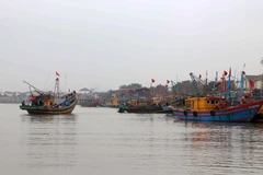 Tàu thuyền neo đậu tại cảng cá Diễn Ngọc, xã Diễn Ngọc (Diễn Châu, Nghệ An). (Ảnh: Xuân Tiến/TTXVN)