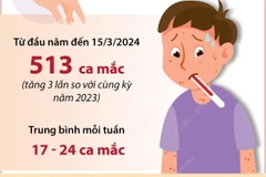 Số ca mắc sốt xuất huyết tại Hà Nội tăng gấp 3 lần 