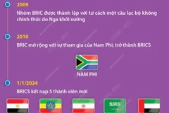 Tiến trình mở rộng nhóm các nền kinh tế mới nổi hàng đầu BRICS lên 10 thành viên