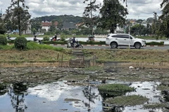 Rác thải tràn ngập hồ Đội Có - một trong 3 hồ lắng quanh thắng cảnh hồ Xuân Hương (thành phố Đà Lạt). (Ảnh: Nguyễn Dũng/TTXVN)