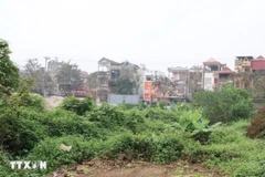 Ảnh minh họa. (Nguồn: TTXVN)