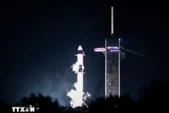 Tên lửa đẩy Falcon 9 của Tập đoàn SpaceX mang theo tàu vũ trụ Dragon rời khỏi bệ phóng tại Trung tâm vũ trụ Kennedy ở Florida, Mỹ. (Ảnh: THX/TTXVN)