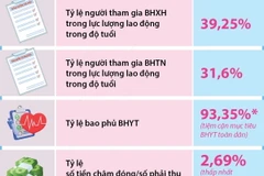 Lực lượng lao động trong độ tuổi tham gia bảo hiểm xã hội đạt gần 40%