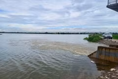 Lũ trên sông Bùi đang lên nhanh. (Nguồn: Báo Nông Nghiệp)