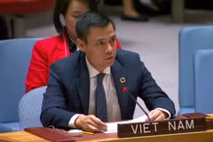 Đại sứ Đặng Hoàng Giang, Trưởng Phái đoàn Thường trực Việt Nam tại Liên hợp quốc, phát biểu tại phiên họp Hội đồng Bảo an. (Ảnh: Thanh Tuấn/TTXVN)