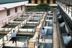 Sản xuất nước sạch ở Công ty kinh doanh nước sạch Hà Nội. (Ảnh: Bùi Tường/TTXVN.)