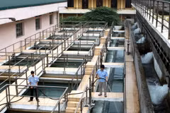 Sản xuất nước sạch ở Công ty kinh doanh nước sạch Hà Nội. (Ảnh: Bùi Tường/TTXVN.)