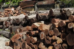 (Ảnh minh họa: Thanh Tân/TTXVN)