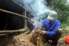 Đốt lửa sưởi ấm cho gia súc khi nhiệt độ xuống thấp.. (Ảnh minh họa: Quang Cường/TTXVN)