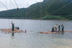 Công nhân Công ty TNHH MTV xây lắp điện 2 đang hoàn thiện căng dây lấy độ võng khoảng néo cuối cùng trước khi đóng điện. (Ảnh: Mai Phương/Vietnam+)