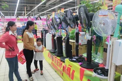 Nhiều sản phẩm điện máy làm mát được giảm giá lên tới 40%. (Ảnh: PV/Vietnam+)