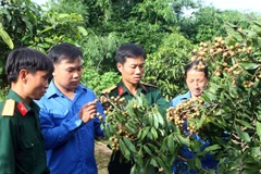 Tuyển 500 cán bộ xã: Khó có khả năng xảy ra tiêu cực 