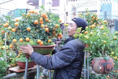 Công chức, viên chức nghỉ Tết Nguyên đán Ất Mùi 2015 mấy ngày?