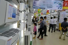 (Ảnh: PV/Vietnam+)