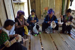 Bình Dương là tỉnh duy nhất không có hộ nghèo và cận nghèo