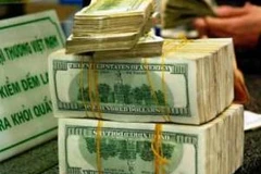 Ảnh minh họa. (Nguồn: Internet).