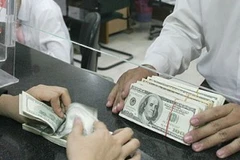 Ảnh minh họa. (Nguồn: Internet).