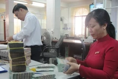 Ảnh minh họa. (Ảnh: Mạnh Hùng/Vietnam+).