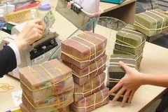 Ảnh minh họa. (Nguồn: Internet).