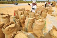 Ảnh minh họa. (Nguồn: Internet).