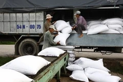 Ảnh minh họa. (Nguồn: Internet).