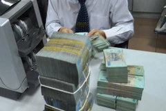 Ảnh minh họa. (Ảnh: Thúy Hà/Vietnam+)