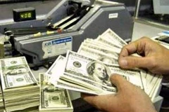 Ảnh minh họa. (Nguồn: Internet).