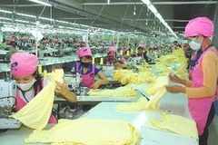 (Ảnh minh họa: Hồng Kỳ/TTXVN)