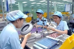 Hoạt động sản xuất của Công ty Mabuchi Motor Việt Nam ở Khu công nghiêp Biên Hòa 2 (Đồng Nai). (Ảnh: Danh Lam/TTXVN).